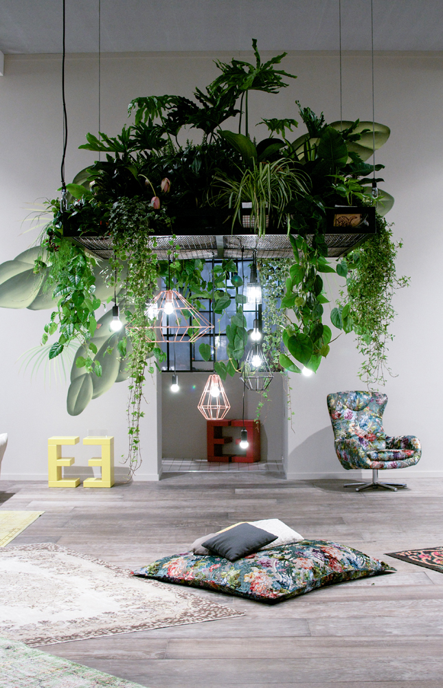 The perfect way to hang indoor  plants 